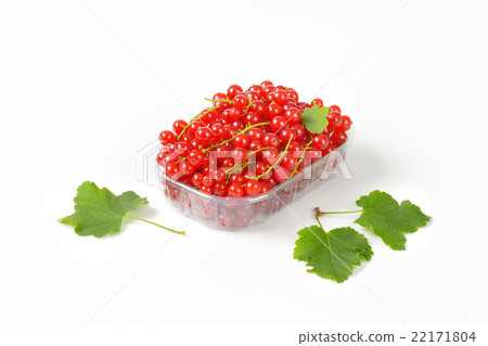 Fresh red currants Fresh red currants 22171804