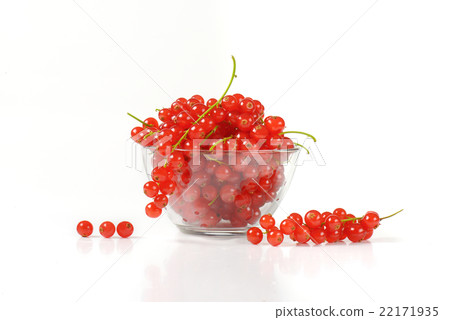 Fresh red currant berries 22171935