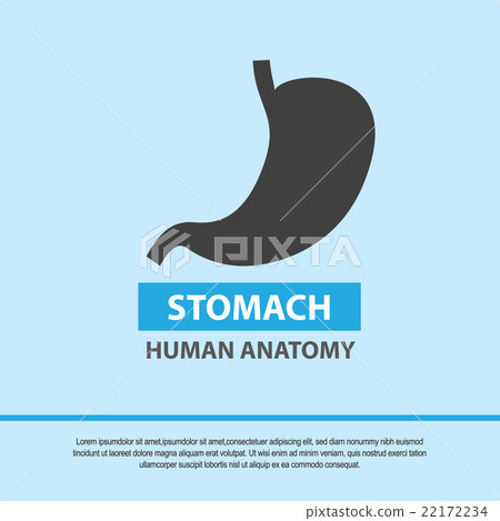 Stomach symbol, medical icon. Vector illustration Stomach symbol, medical icon. Vector illustration 22172234