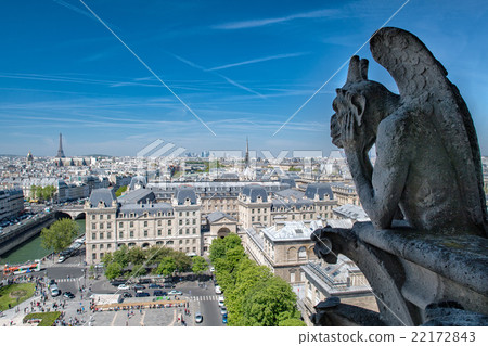 notre dame gorgoyle paris view notre dame gorgoyle paris view 22172843