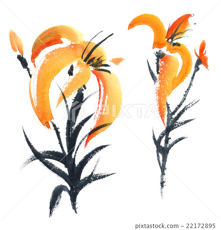 Lily. Flowers illustration.. 22172895