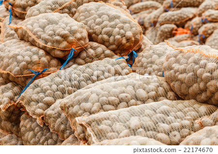 potatoes in the bags at farmers market 22174670