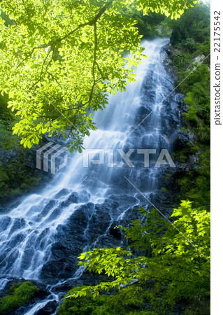 Tendou Tendou 22175542