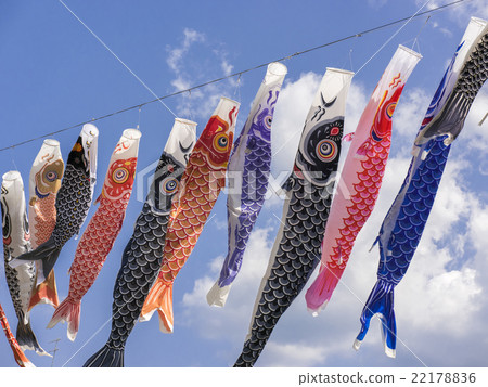 River carp streaming 22178836