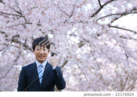 One male (business work Sakura Spring New Living Company Employee New Year Simei Yoshino Salaryman Suit) 22178920