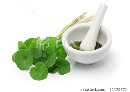 Gotchkola補充圖像 Gotchkola補充圖像 22179772