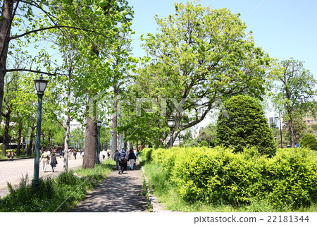 Wakaba東部公園新的綠色風景 Wakaba東部公園新的綠色風景 22181344