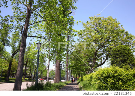 賓館前面賓館的景觀 賓館前面賓館的景觀 22181345