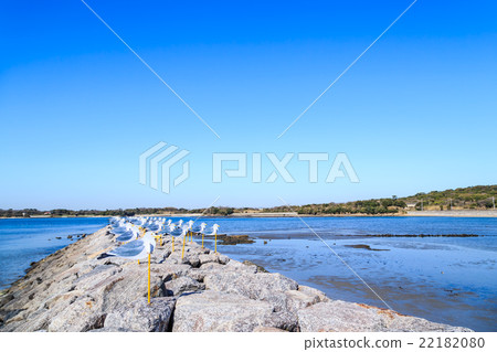 Sakujima Tenjin的海灘海鷗停車場 22182080