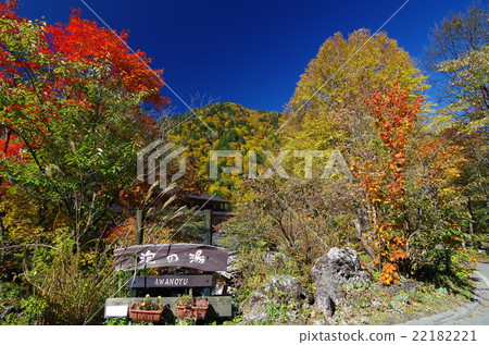 白葉溫泉的秋葉(Foam no Yu Ryokan) 白葉溫泉的秋葉(Foam no Yu Ryokan) 22182221