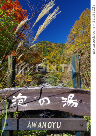 白葉溫泉的秋葉(Foam no Yu Ryokan) 白葉溫泉的秋葉(Foam no Yu Ryokan) 22182225