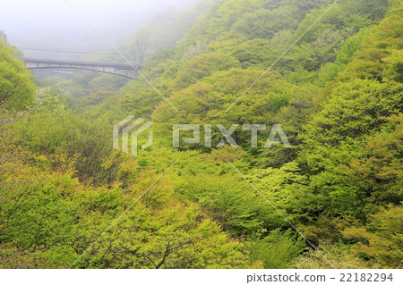 Fresh green blue ice 22182294