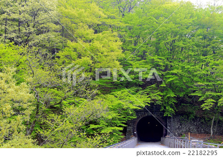 Fresh green blue ice 22182295