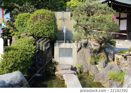 Shiga Omi Jingu Shrine 22182392
