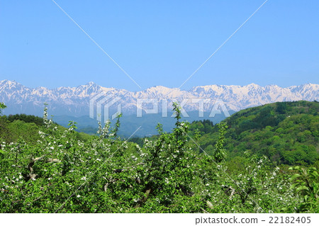 Beautiful Northern Alps Part 9: Colored Textiles Yamanashi Part 63 22182405