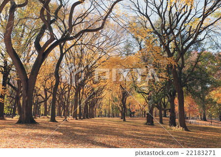 秋葉購物中心公園 秋葉購物中心公園 22183271
