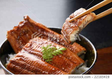 Eel eel eel uneven bowl of fried eggs and dishes 22183419