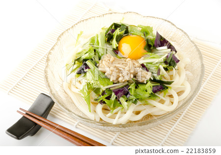 冷凍烏冬面和冷面 冷凍烏冬面和冷面 22183859