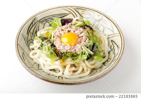 Chilled udon noodles with chilled noodles Chilled udon noodles with chilled noodles 22183865