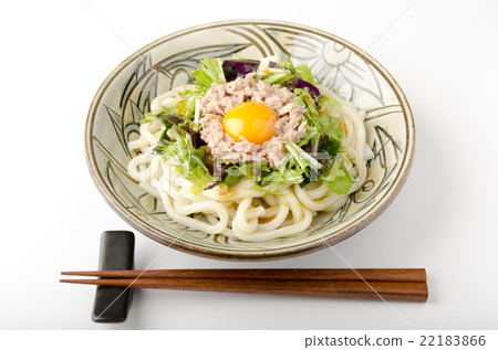 Chilled udon noodles with chilled noodles Chilled udon noodles with chilled noodles 22183866