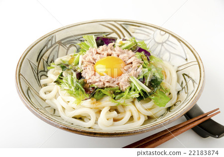 冷凍烏冬面和冷面 22183874