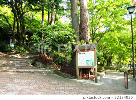 Zuihoji公園 Zuihoji公園 22184030