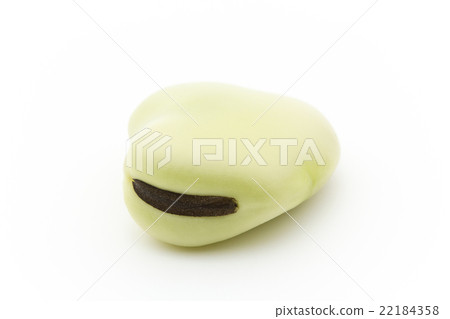 Fava beans: Broad bean (Fava bean) 22184358