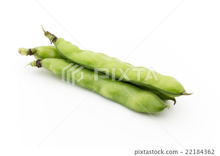 Fava beans: Broad bean (Fava bean) Fava beans: Broad bean (Fava bean) 22184362
