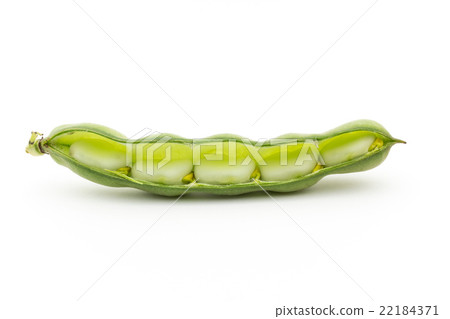 Fava beans: Broad bean (Fava bean) 22184371