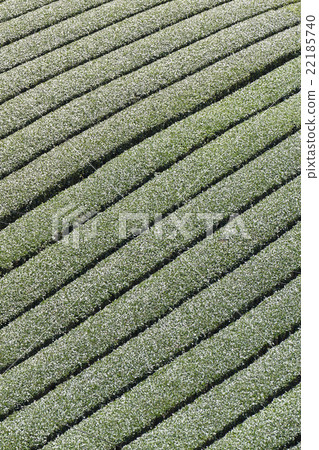 Teahara Nara City Tahara area Teahara Nara City Tahara area 22185740