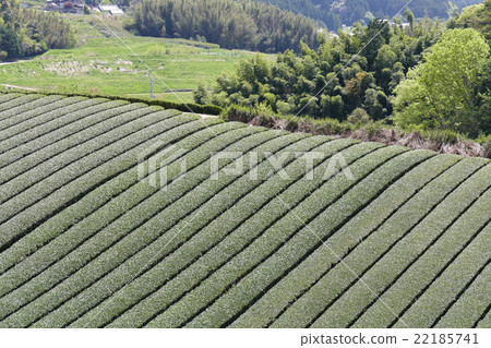 Teahara Nara City Tahara area Teahara Nara City Tahara area 22185741