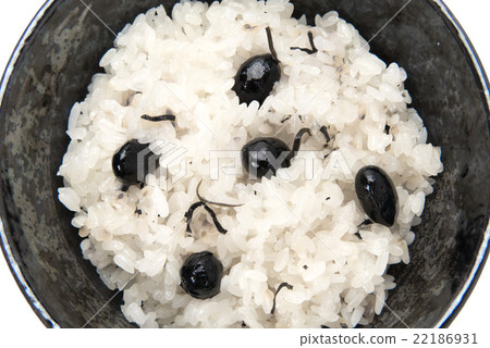 Black bean otter Black bean otter 22186931