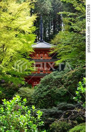 Iwafuneji Triple Tower（2016.4） 22187036