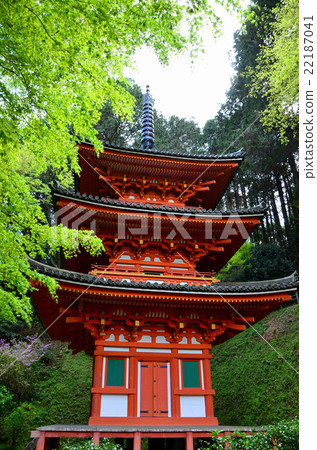 Iwafuneji Triple Tower（2016.4） 22187041