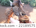 長頸鹿莊園 22189575
