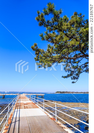 Sak島海釣中心 22189767