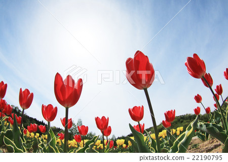 龜場518 龜場518 22190795