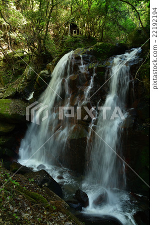 Cock Waterfall Cock Waterfall 22192194