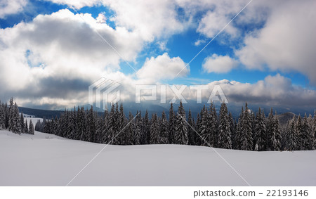 landscape landscape 22193146