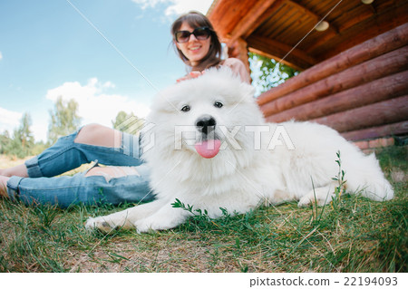 young woman girl white dog jeans young woman girl white dog jeans 22194093
