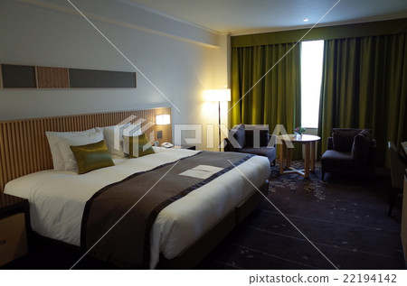 Room _ hotel 22194142