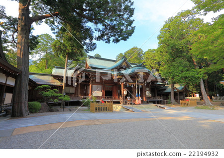 阿波縣一宮神社槭樹神社寺廟 阿波縣一宮神社槭樹神社寺廟 22194932