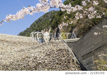 Shinshu cherry blossoms from the Nanakura Dam in spring Shinshu cherry blossoms from the Nanakura Dam in spring 22195350