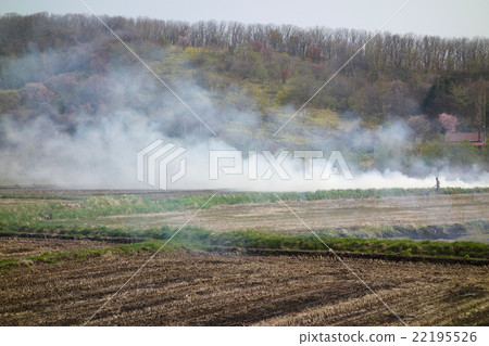 Field rice field burn Field rice field burn 22195526