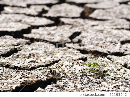 dried crack thick mud earth floor shrimp farm pond dried crack thick mud earth floor shrimp farm pond 22195942