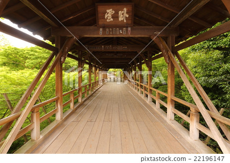 Fresh green of Tofukuji 22196147