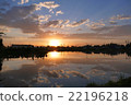 Sunset reflected in rice field 22196218