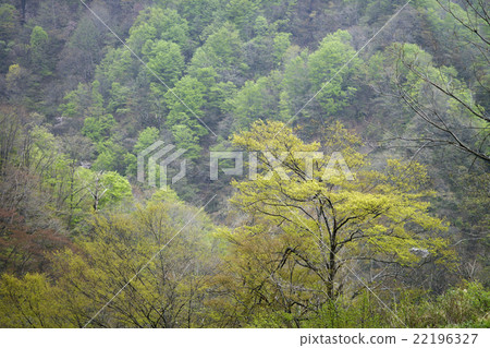 Early spring in the countryside Early spring in the countryside 22196327
