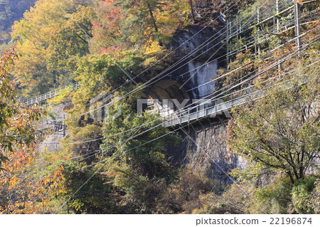 Autumn use Discontinued Japan's shortest railway tunnel Autumn use Discontinued Japan's shortest railway tunnel 22196874
