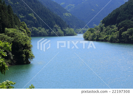 Futagawa dam fresh green 22197308